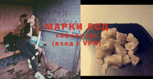 ГАЛЛЮЦИНОГЕННЫЕ ГРИБЫ Гусиноозёрск